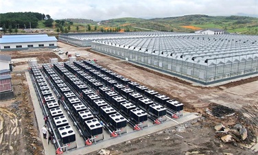 助力綠色農(nóng)業(yè)發(fā)展！貴州3萬平蔬菜大棚建設碧淶空氣能采暖工程